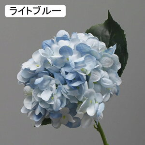   CeA  AWTC 1{ ͂Ȃ Q   ItBX ̓  a j JXj  EFfBO p[eB[ v[g ʐ^ A[gt