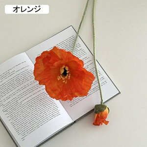   CeA  1{ ͂Ȃ Q   ItBX ̓  a j JXj  EFfBO p[eB[ v[g ʐ^ A[gt[ 