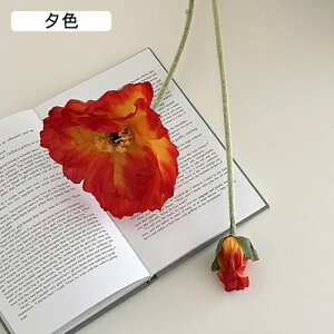   CeA  1{ ͂Ȃ Q   ItBX ̓  a j JXj  EFfBO p[eB[ v[g ʐ^ A[gt[ 