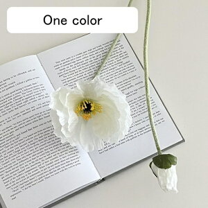   CeA  1{ ͂Ȃ Q   ItBX ̓  a j JXj  EFfBO p[eB[ v[g ʐ^ A[gt[ 