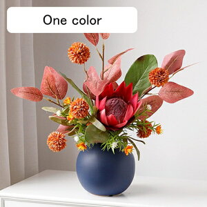  Zbgiԁ{ԕrj ԕrt  CeA   v[g Mtg ߓ  ʐ^Be ii w  i ] j Nj җj Vzj ʉ M