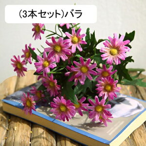 3{Zbg  fCW[ tFCN fCW[̉ԑ u[P c ͂Ȃ bsv A[gt[ CeA v[g j rO sNjbN e[u   AW 