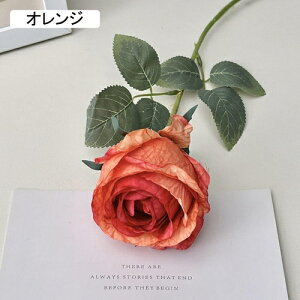   CeA  KN 1{ ͂Ȃ Q   ItBX ̓  a j JXj  EFfBO p[eB[ v[g ʐ^ A[gt