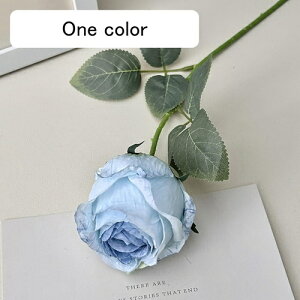   CeA  KN 1{ ͂Ȃ Q   ItBX ̓  a j JXj  EFfBO p[eB[ v[g ʐ^ A[gt