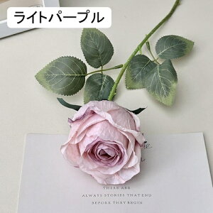   CeA  KN 1{ ͂Ȃ Q   ItBX ̓  a j JXj  EFfBO p[eB[ v[g ʐ^ A[gt