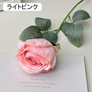   CeA  KN 1{ ͂Ȃ Q   ItBX ̓  a j JXj  EFfBO p[eB[ v[g ʐ^ A[gt