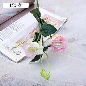 6{  ԑ gRj[ O[ tFCNt[ CeA k A[eBtBVt[ A X^CbV v[g Ȃ  蕨 ̓ JXj 