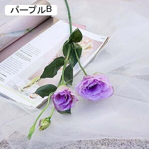 6{  ԑ gRj[ O[ tFCNt[ CeA k A[eBtBVt[ A X^CbV v[g Ȃ  蕨 ̓ JXj 