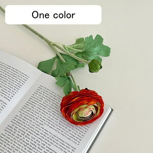   CeA  [ 1{ ͂Ȃ Q   ItBX ̓  a j JXj  EFfBO p[eB[ v[g ʐ^ A[gt