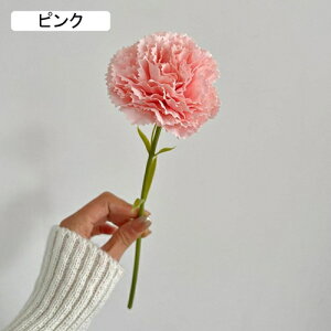   CeA  J[l[V 1{ ͂Ȃ Q   ItBX ̓  a j JXj  EFfBO p[eB[ v[g ʐ^ A