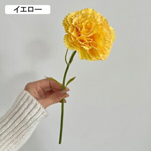   CeA  J[l[V 1{ ͂Ȃ Q   ItBX ̓  a j JXj  EFfBO p[eB[ v[g ʐ^ A