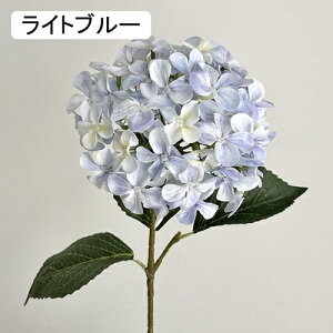   CeA  AWTC 1{ ͂Ȃ Q   ItBX ̓  a j JXj  EFfBO p[eB[ v[g ʐ^ A[gt