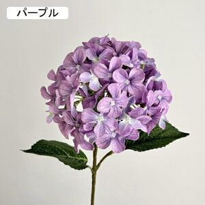   CeA  AWTC 1{ ͂Ȃ Q   ItBX ̓  a j JXj  EFfBO p[eB[ v[g ʐ^ A[gt