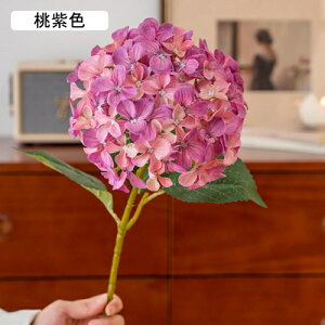   CeA  AWTC 1{ ͂Ȃ Q   ItBX ̓  a j JXj  EFfBO p[eB[ v[g ʐ^ A[gt