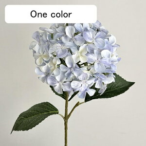   CeA  AWTC 1{ ͂Ȃ Q   ItBX ̓  a j JXj  EFfBO p[eB[ v[g ʐ^ A[gt