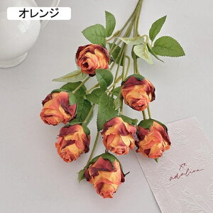   CeA  KN 1{ ͂Ȃ Q   ItBX ̓  a j JXj  EFfBO p[eB[ v[g ʐ^ A[gt