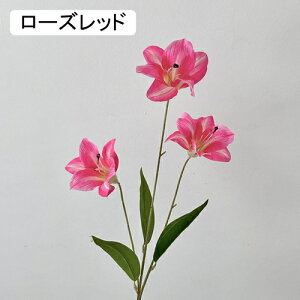   CeA  S 1{ ͂Ȃ Q   ItBX ̓  a j JXj  EFfBO p[eB[ v[g ʐ^ A[gt