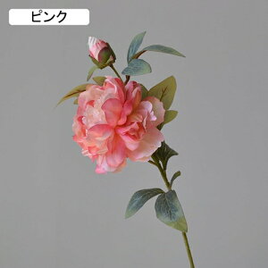   CeA  ڂ 1{ ͂Ȃ Q   ItBX ̓  a j JXj  EFfBO p[eB[ v[g ʐ^ A[gt