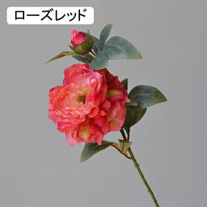   CeA  ڂ 1{ ͂Ȃ Q   ItBX ̓  a j JXj  EFfBO p[eB[ v[g ʐ^ A[gt