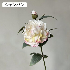   CeA  ڂ 1{ ͂Ȃ Q   ItBX ̓  a j JXj  EFfBO p[eB[ v[g ʐ^ A[gt