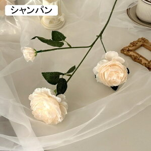   CeA  O 1{ ͂Ȃ Q   ItBX ̓  a j JXj  EFfBO p[eB[ v[g ʐ^ A[gt