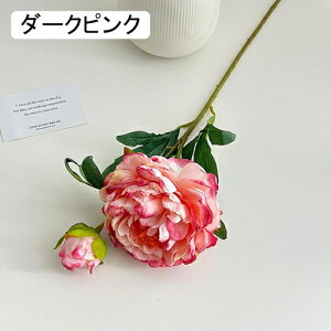   CeA  O 1{ ͂Ȃ Q   ItBX ̓  a j JXj  EFfBO p[eB[ v[g ʐ^ A[gt