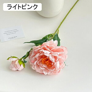   CeA  O 1{ ͂Ȃ Q   ItBX ̓  a j JXj  EFfBO p[eB[ v[g ʐ^ A[gt