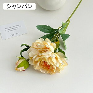   CeA  O 1{ ͂Ȃ Q   ItBX ̓  a j JXj  EFfBO p[eB[ v[g ʐ^ A[gt