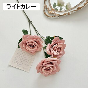   CeA  KN 1{ ͂Ȃ Q   ItBX ̓  a j JXj  EFfBO p[eB[ v[g ʐ^ A[gt