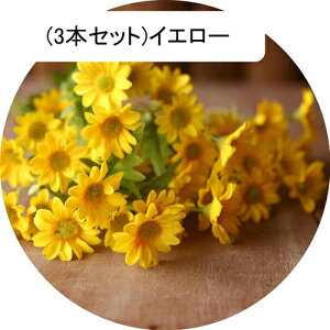 3{Zbg  fCW[ tFCN fCW[̉ԑ u[P ͂Ȃ bsv A[gt[ CeA rO sNjbN e[u   AW I[ig Be v