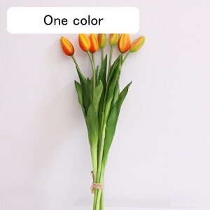 `[bv  CeA tFCNt[ ԑ ͂Ȃ Y PU tFCNt[ A[gt[ EFfBOu[P ] ސE  v[g j er e[u 