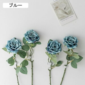   CeA  o 4{ ͂Ȃ Q   ItBX ̓  a j JXj  EFfBO p[eB[ v[g ʐ^ A[gt