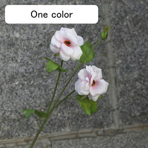   CeA  t 1{ ͂Ȃ Q   ItBX ̓  a j JXj  EFfBO p[eB[ v[g ʐ^ A[gt