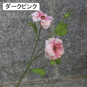   CeA  t 1{ ͂Ȃ Q   ItBX ̓  a j JXj  EFfBO p[eB[ v[g ʐ^ A[gt