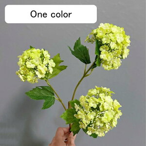   CeA  AWTC 1{ ͂Ȃ Q   ItBX ̓  a j JXj  EFfBO p[eB[ v[g ʐ^ A[gt