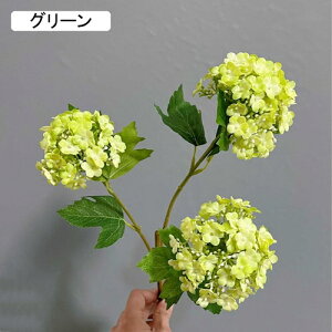   CeA  AWTC 1{ ͂Ȃ Q   ItBX ̓  a j JXj  EFfBO p[eB[ v[g ʐ^ A[gt