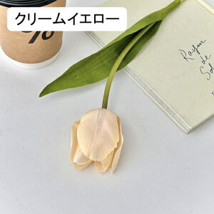   CeA  `[bv 1{ ͂Ȃ Q   ItBX ̓  a j JXj  EFfBO p[eB[ v[g ʐ^ A[