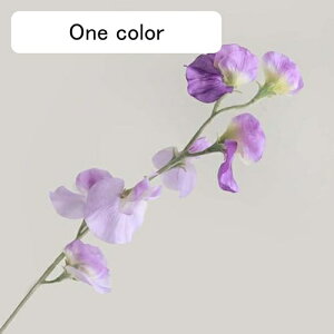 10{  XC[gs[ tFCNt[ A k  CeA A[eBtBVt[ ԑ }[^ { X^CbV 蕨 v[g ̓ Ȃ J