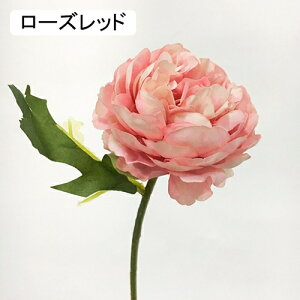   CeA  ڂ 1{ ͂Ȃ Q   ItBX ̓  a j JXj  EFfBO p[eB[ v[g ʐ^ A[gt