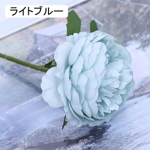   CeA  ڂ 1{ ͂Ȃ Q   ItBX ̓  a j JXj  EFfBO p[eB[ v[g ʐ^ A[gt