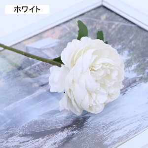   CeA  ڂ 1{ ͂Ȃ Q   ItBX ̓  a j JXj  EFfBO p[eB[ v[g ʐ^ A[gt