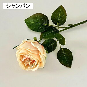   CeA  o 1{ ͂Ȃ Q   ItBX ̓  a j JXj  EFfBO p[eB[ v[g ʐ^ A[gt