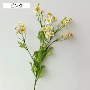   CeA  fCW[ 1{ ͂Ȃ Q   ItBX ̓  a j JXj  EFfBO p[eB[ v[g ʐ^ A[gt