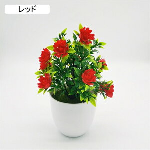 tFCNO[ lHϗtA  [YԔA  ~ CeA ItBX X  u { ͂Ȃ lH Vj ]j sN