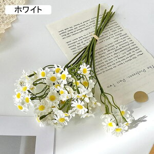   CeA  fCW[ 1 ͂Ȃ Q   ItBX ̓  a j JXj  EFfBO p[eB[ v[g ʐ^ A[gt