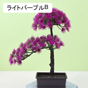 }q lHϗtA A ~ |    K[f ItBX rO[ { A } CeA Bep  蕨 b炸 v[g  