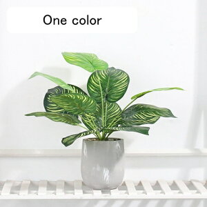 tFCNO[ ~j  A t ~ lHϗtA { c k CeA ItBX X  u ͂Ȃ b炸  JXj Vzj v[