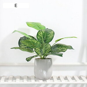 tFCNO[ ~j  A t ~ lHϗtA { c k CeA ItBX X  u ͂Ȃ b炸  JXj Vzj v[