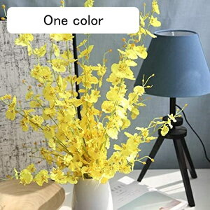  CeA A[gt[ ԑ x闖 5{ t[ v[g Mtg 蕨 JXj a    EFfBO u[P   Be p z[ 뉀 Lb