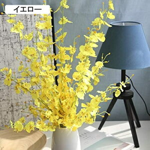  CeA A[gt[ ԑ x闖 5{ t[ v[g Mtg 蕨 JXj a    EFfBO u[P   Be p z[ 뉀 Lb